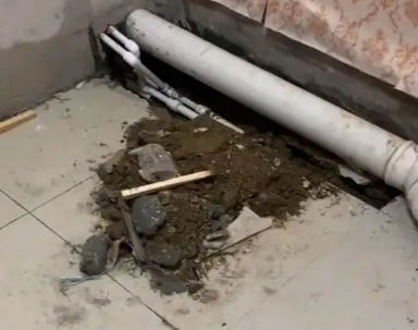 柳州市卫生间漏水检测哪家好